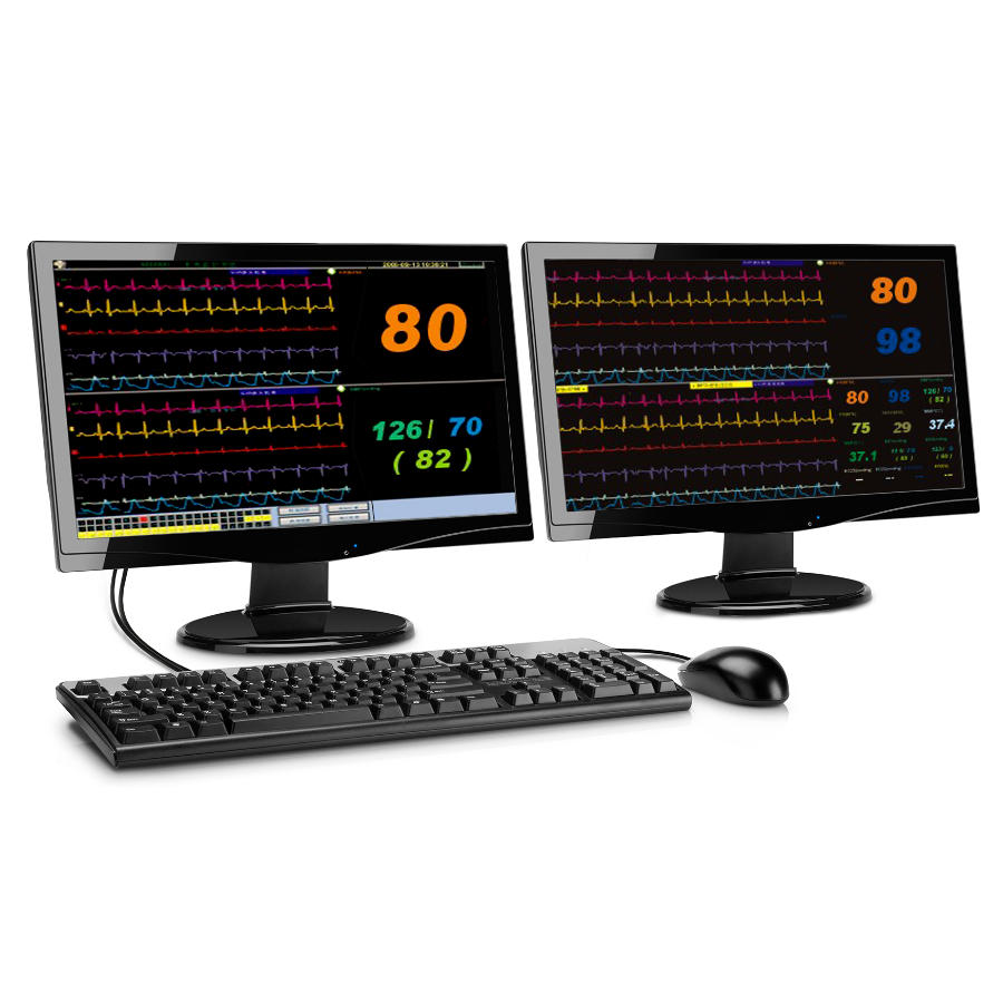 monitor GT 6000