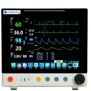 Monitor GT12